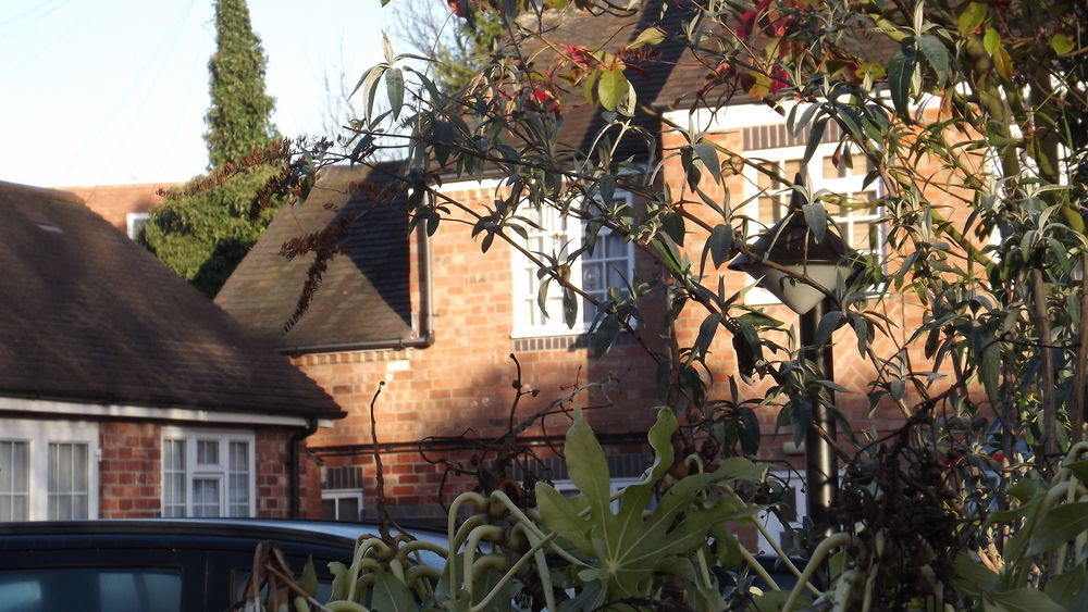 Hotel The Peacock Townhouse - Warwick Kenilworth